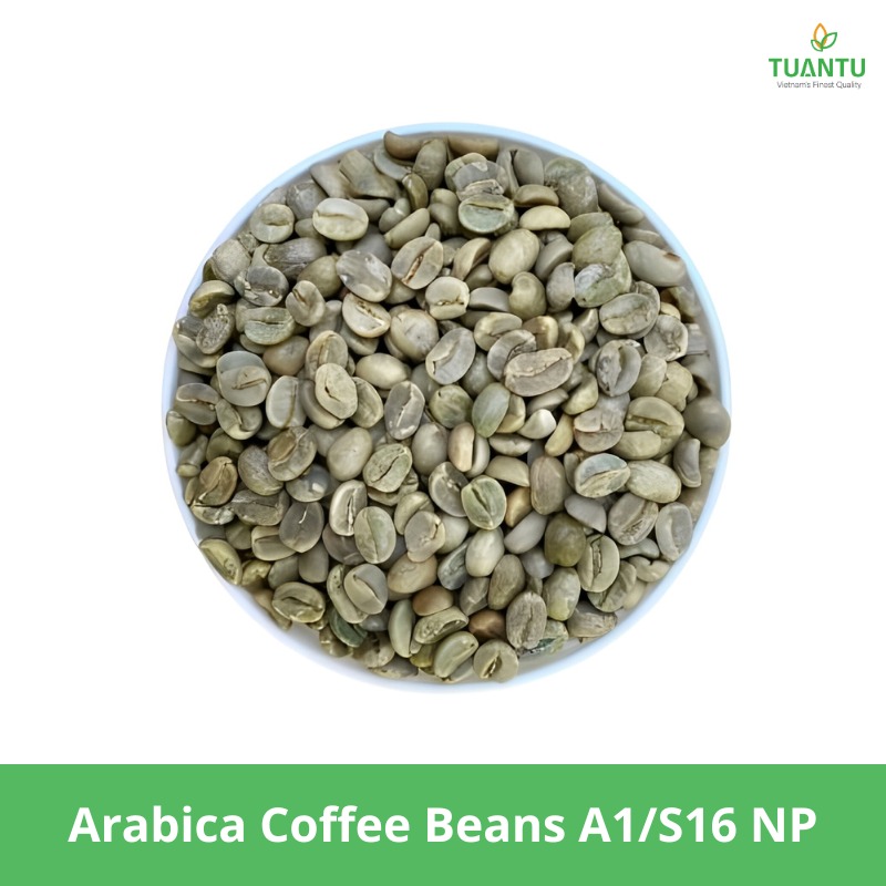 Arabica Coffee Beans A1s16 Np
