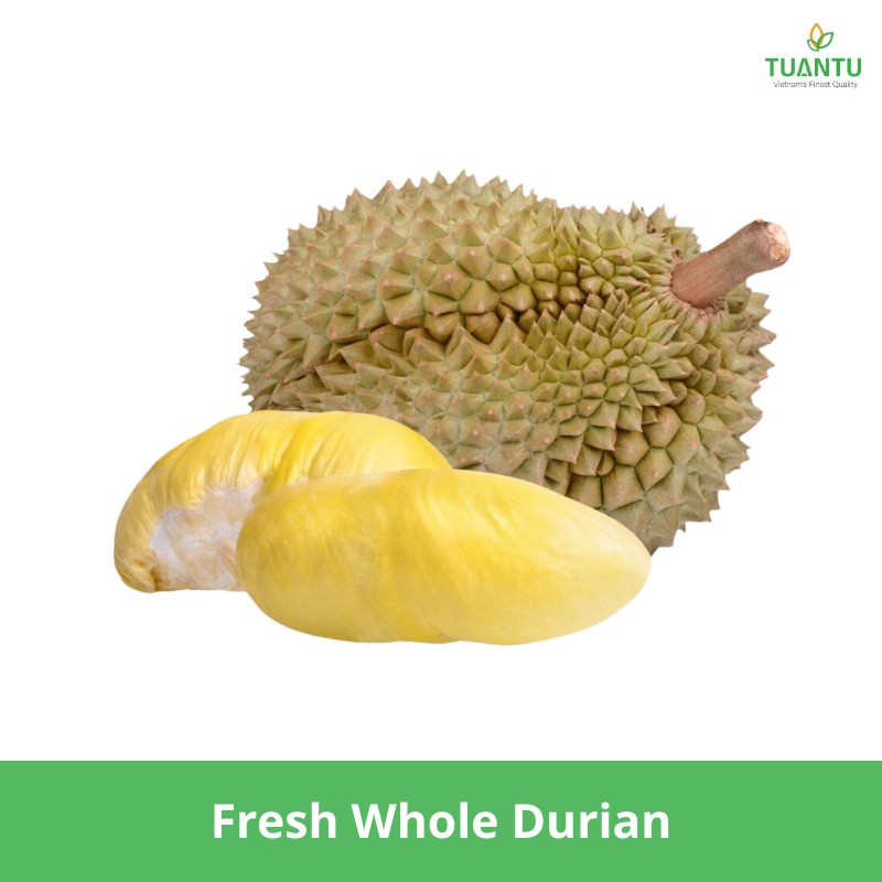Fresh Whole Durian