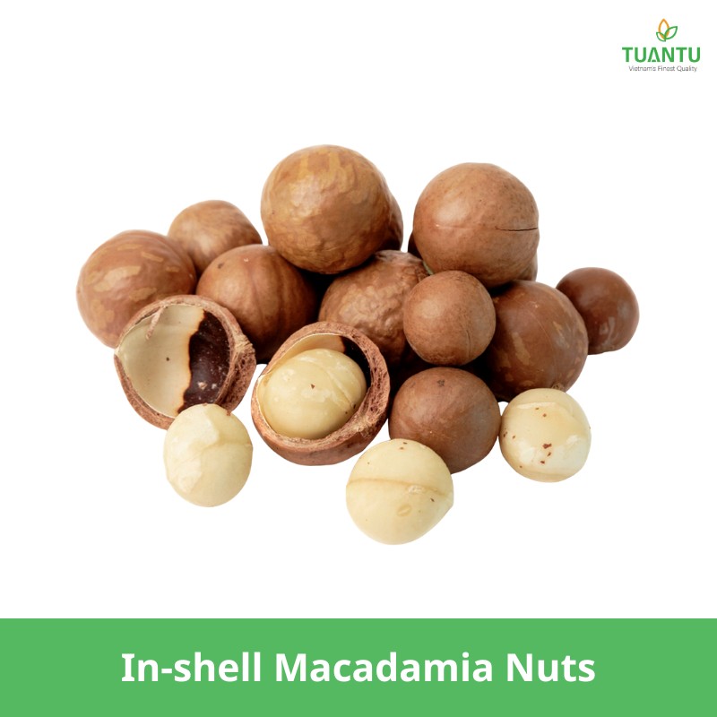 In-shell Macadamia Nuts
