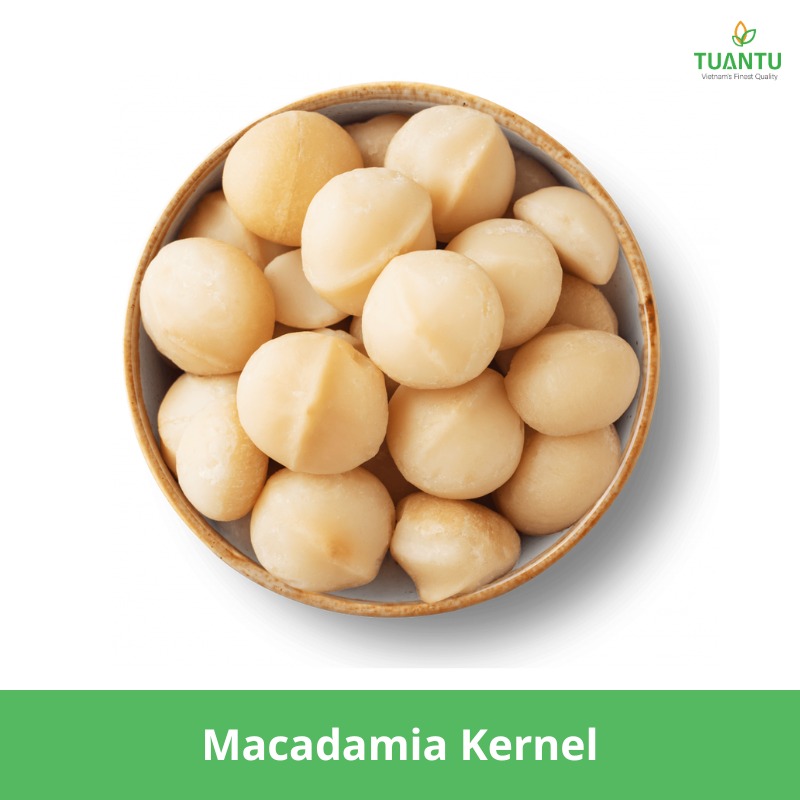 Macadamia Kernel