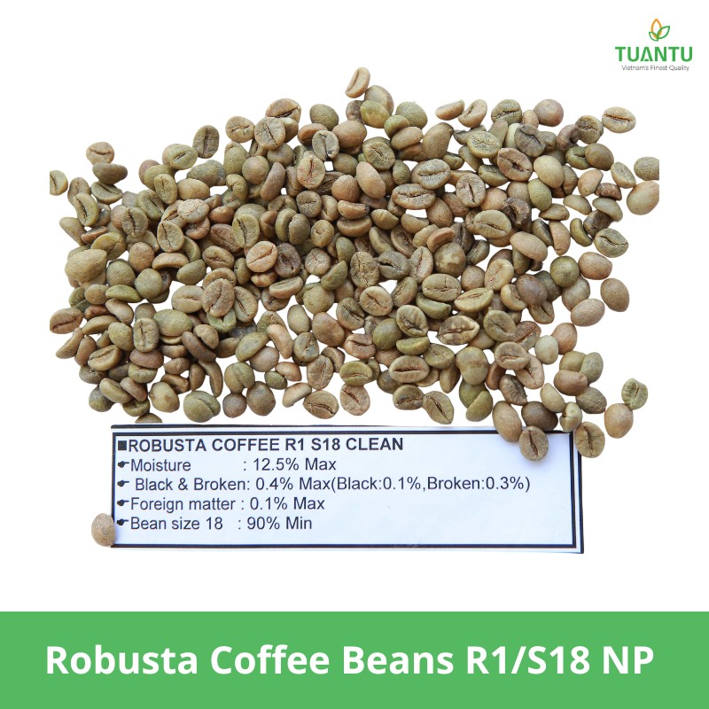 Robusta Coffee Beans R1/S18 NP