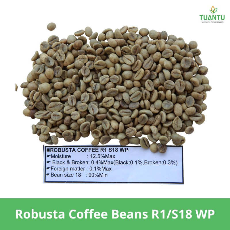 Robusta Coffee Beans R1/S18 WP