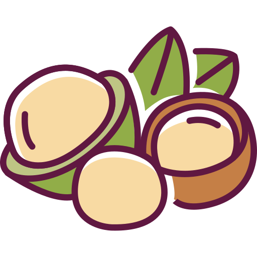 Macadamia
