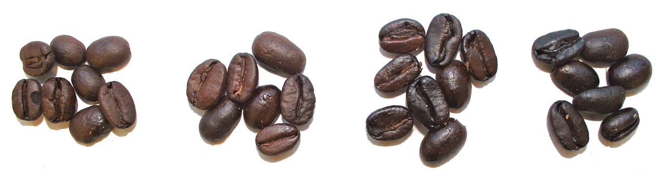 medium-dark-roast-coffee-levels.png (1360×366)